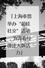 上海奉贤举办“萌娃社交”活动，为青春经济注入新活力