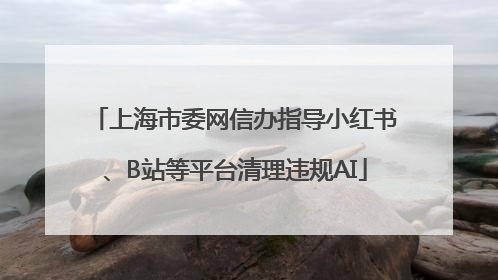 上海市委网信办指导小红书、B站等平台清理违规AI