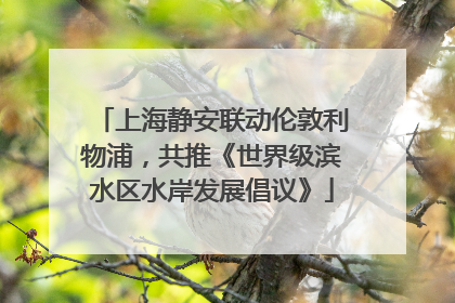上海静安联动伦敦利物浦，共推《世界级滨水区水岸发展倡议》