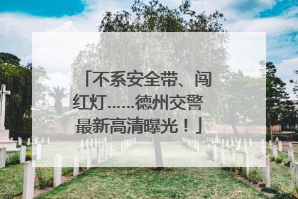 不系安全带、闯红灯……德州交警最新高清曝光！