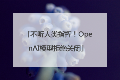 不听人类指挥！OpenAI模型拒绝关闭