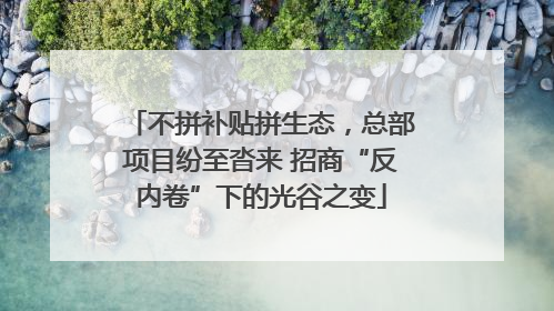 不拼补贴拼生态，总部项目纷至沓来 招商“反内卷”下的光谷之变