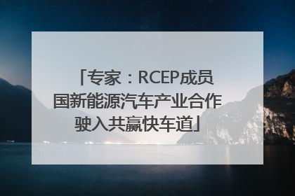 专家：RCEP成员国新能源汽车产业合作驶入共赢快车道