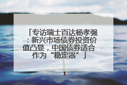 专访瑞士百达杨孝强：新兴市场债券投资价值凸显，中国债券适合作为“稳定器”
