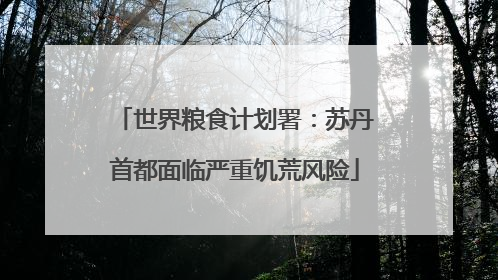 世界粮食计划署：苏丹首都面临严重饥荒风险