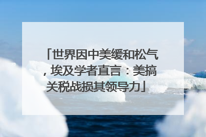 世界因中美缓和松气，埃及学者直言：美搞关税战损其领导力