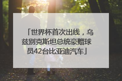 世界杯首次出线，乌兹别克斯坦总统豪赠球员42台比亚迪汽车
