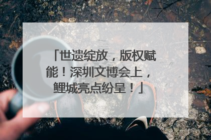 世遗绽放，版权赋能！深圳文博会上，鲤城亮点纷呈！