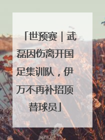 世预赛｜武磊因伤离开国足集训队，伊万不再补招顶替球员