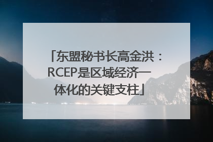 东盟秘书长高金洪：RCEP是区域经济一体化的关键支柱