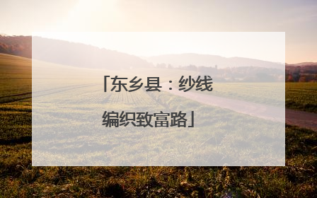 东乡县：纱线编织致富路