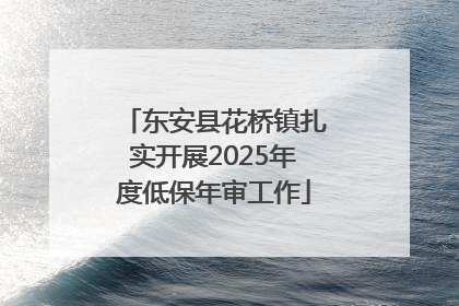 东安县花桥镇扎实开展2025年度低保年审工作