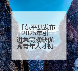 东平县发布2025年引进急需紧缺优秀青年人才初试公告，5月30日开展面谈