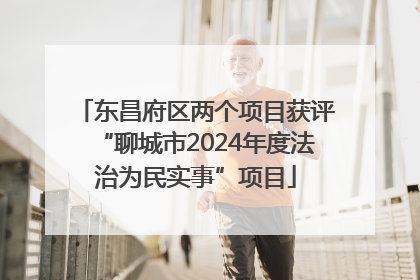 东昌府区两个项目获评“聊城市2024年度法治为民实事”项目