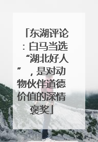 东湖评论：白马当选“湖北好人”，是对动物伙伴道德价值的深情褒奖