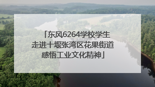 东风6264学校学生走进十堰张湾区花果街道感悟工业文化精神