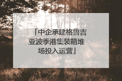 中企承建格鲁吉亚波季港集装箱堆场投入运营