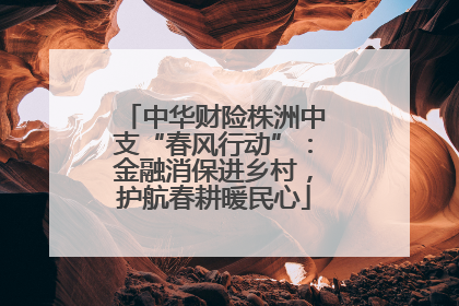 中华财险株洲中支“春风行动”：金融消保进乡村，护航春耕暖民心
