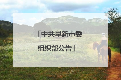中共阜新市委组织部公告