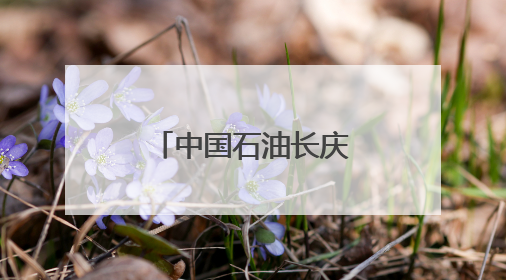 中国石油长庆油田采气二厂以数智积分制 撬动组织新活力