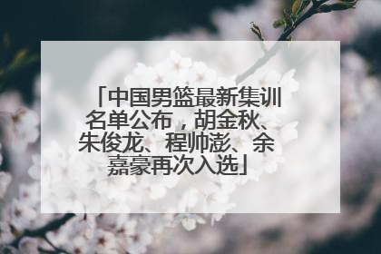 中国男篮最新集训名单公布，胡金秋、朱俊龙、程帅澎、余嘉豪再次入选