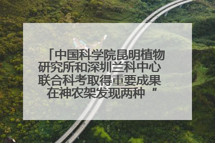 中国科学院昆明植物研究所和深圳兰科中心联合科考取得重要成果 在神农架发现两种“国保”级兰花
