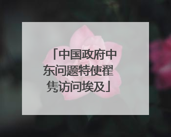 中国政府中东问题特使翟隽访问埃及