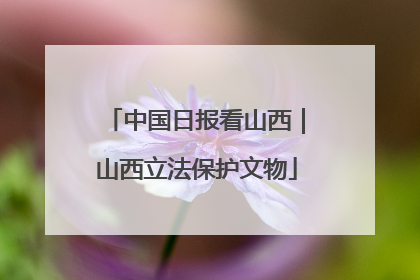 中国日报看山西｜山西立法保护文物