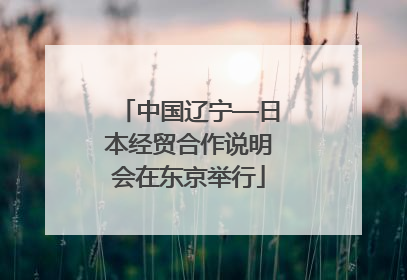 中国辽宁—日本经贸合作说明会在东京举行