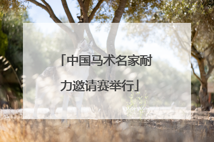 中国马术名家耐力邀请赛举行