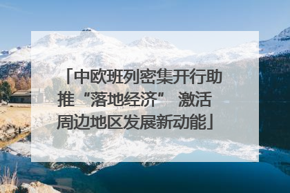 中欧班列密集开行助推“落地经济” 激活周边地区发展新动能