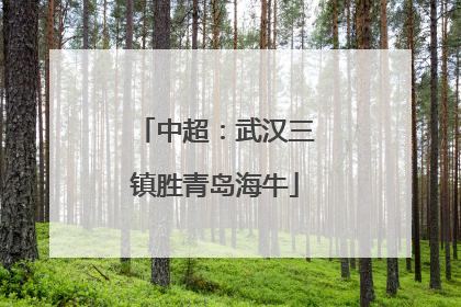 中超：武汉三镇胜青岛海牛