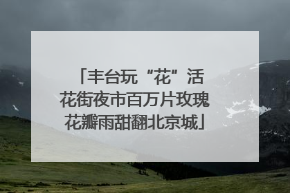 丰台玩“花”活 花街夜市百万片玫瑰花瓣雨甜翻北京城