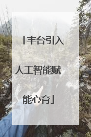丰台引入人工智能赋能心育