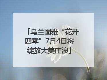 乌兰图雅“花开四季”7月4日将绽放大美庄浪