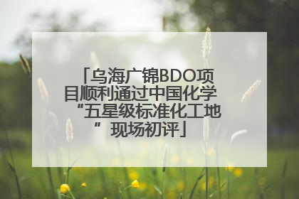乌海广锦BDO项目顺利通过中国化学“五星级标准化工地”现场初评