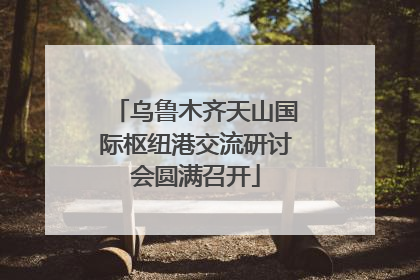 乌鲁木齐天山国际枢纽港交流研讨会圆满召开