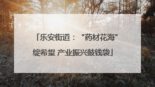 乐安街道：“药材花海”绽希望 产业振兴鼓钱袋