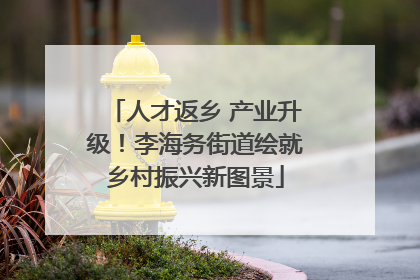 人才返乡 产业升级！李海务街道绘就乡村振兴新图景