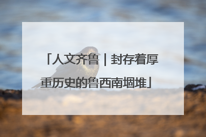 人文齐鲁｜封存着厚重历史的鲁西南堌堆