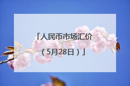 人民币市场汇价（5月28日）