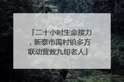 二十小时生命接力，新泰市禹村镇多方联动营救九旬老人