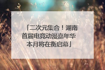 二次元集合！湖南首届电竞动漫嘉年华本月将在衡启幕