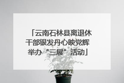 云南石林县离退休干部银发丹心映党辉举办“三展”活动