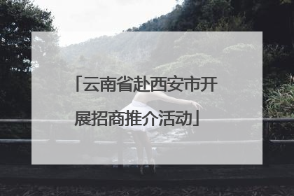云南省赴西安市开展招商推介活动