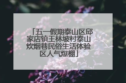 五一假期泰山区邱家店镇王林坡村泰山炊烟巷民俗生活体验区人气爆棚