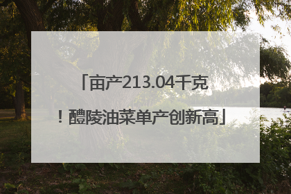 亩产213.04千克！醴陵油菜单产创新高