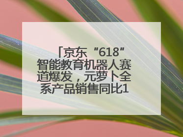 京东“618”智能教育机器人赛道爆发，元萝卜全系产品销售同比171%成黑马