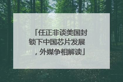 任正非谈美国封锁下中国芯片发展，外媒争相解读