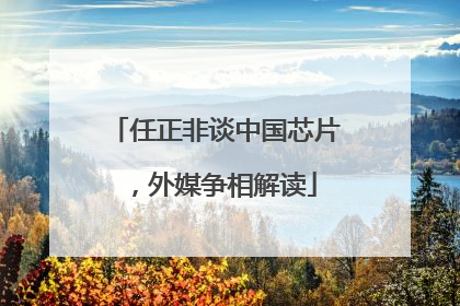 任正非谈中国芯片，外媒争相解读
